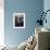 Woodstock-null-Framed Photographic Print displayed on a wall