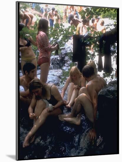 Woodstock-null-Mounted Photographic Print