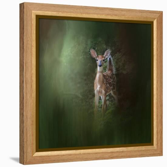 Woodsy Summer Fawn-Jai Johnson-Framed Premier Image Canvas