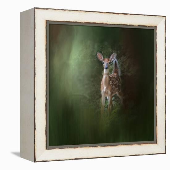 Woodsy Summer Fawn-Jai Johnson-Framed Premier Image Canvas