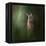 Woodsy Summer Fawn-Jai Johnson-Framed Premier Image Canvas