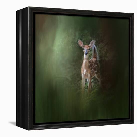 Woodsy Summer Fawn-Jai Johnson-Framed Premier Image Canvas