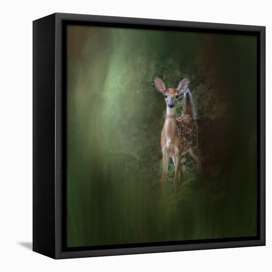 Woodsy Summer Fawn-Jai Johnson-Framed Premier Image Canvas