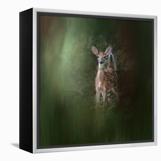 Woodsy Summer Fawn-Jai Johnson-Framed Premier Image Canvas