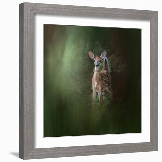 Woodsy Summer Fawn-Jai Johnson-Framed Giclee Print