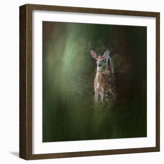 Woodsy Summer Fawn-Jai Johnson-Framed Giclee Print