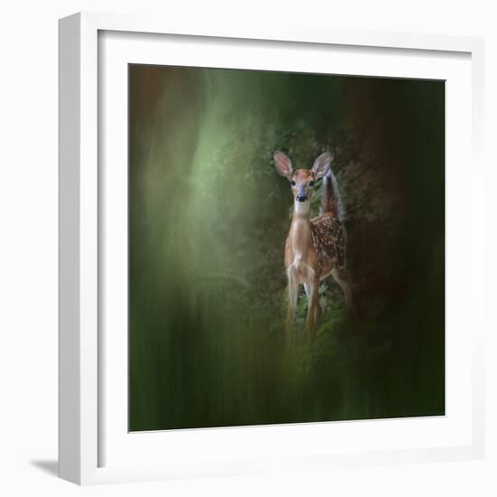 Woodsy Summer Fawn-Jai Johnson-Framed Giclee Print