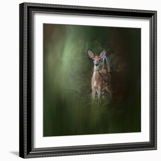 Woodsy Summer Fawn-Jai Johnson-Framed Giclee Print