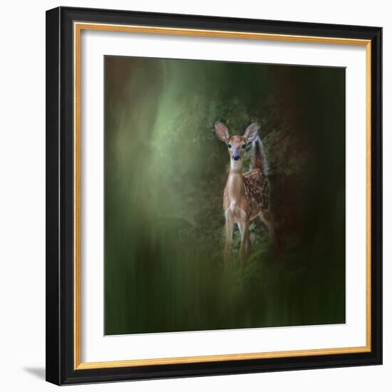 Woodsy Summer Fawn-Jai Johnson-Framed Giclee Print