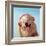 Woof Jam-Lucia Heffernan-Framed Art Print