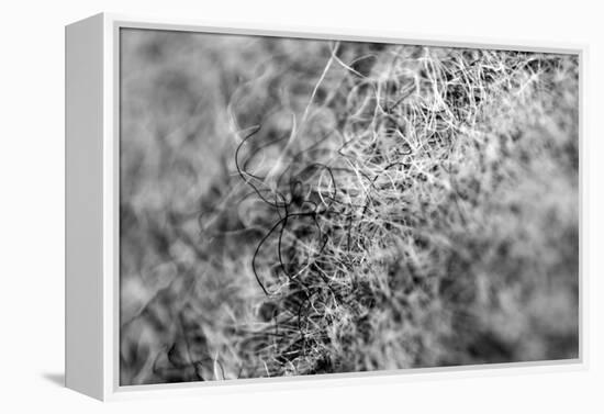 Wool Hat Closeup-null-Framed Stretched Canvas