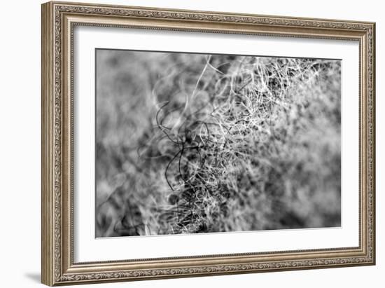 Wool Hat Closeup-null-Framed Photo