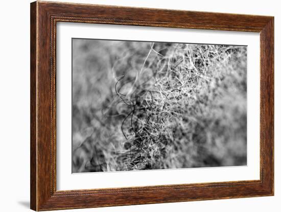 Wool Hat Closeup-null-Framed Photo
