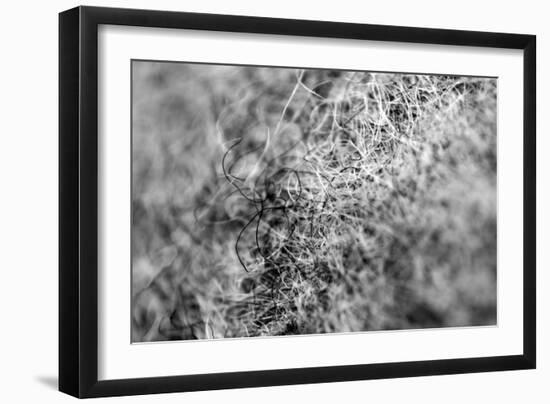 Wool Hat Closeup-null-Framed Photo