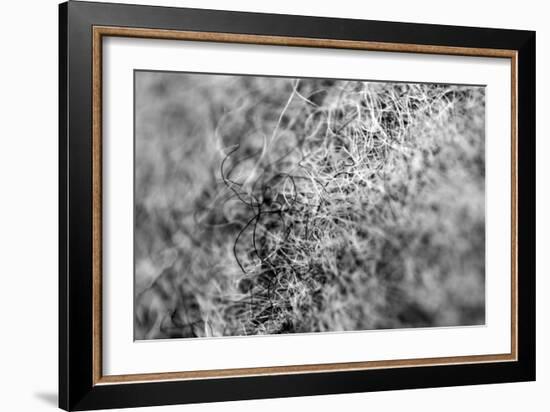 Wool Hat Closeup-null-Framed Photo