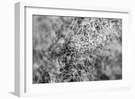 Wool Hat Closeup-null-Framed Photo