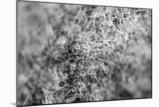 Wool Hat Closeup-null-Mounted Photo