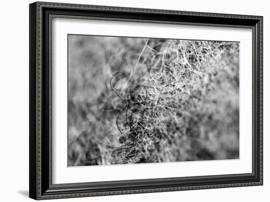 Wool Hat Closeup-null-Framed Photo