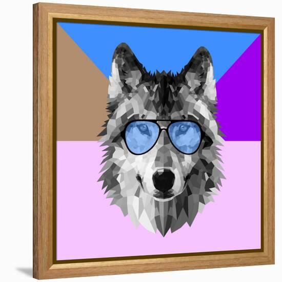 Woolf in Blue Glasses-Lisa Kroll-Framed Stretched Canvas