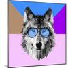 Woolf in Blue Glasses-Lisa Kroll-Mounted Art Print