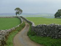 Leitrim, Daura, Shannon River, County Leitrim, Connacht, Republic of Ireland, Europe-Woolfitt Adam-Photographic Print