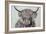 Woolly Highland II-Carolee Vitaletti-Framed Art Print