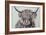 Woolly Highland II-Carolee Vitaletti-Framed Art Print