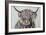 Woolly Highland II-Carolee Vitaletti-Framed Art Print