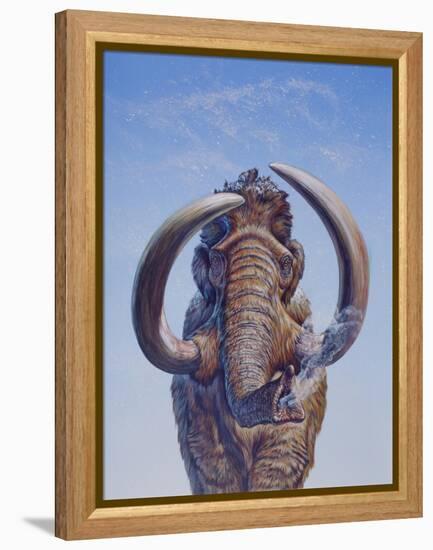 Woolly Mammoth Charging, Pleistocene Epoch-null-Framed Stretched Canvas