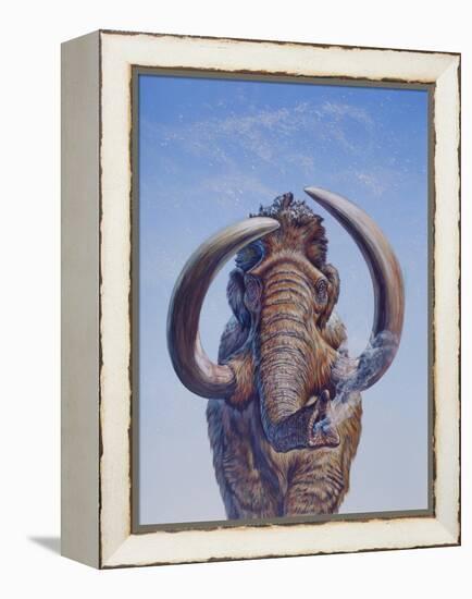 Woolly Mammoth Charging, Pleistocene Epoch-null-Framed Stretched Canvas