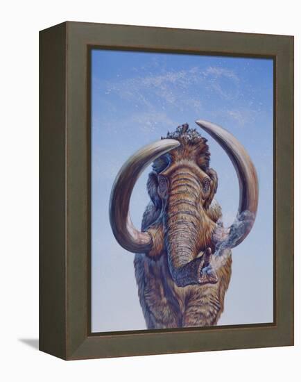 Woolly Mammoth Charging, Pleistocene Epoch-null-Framed Stretched Canvas