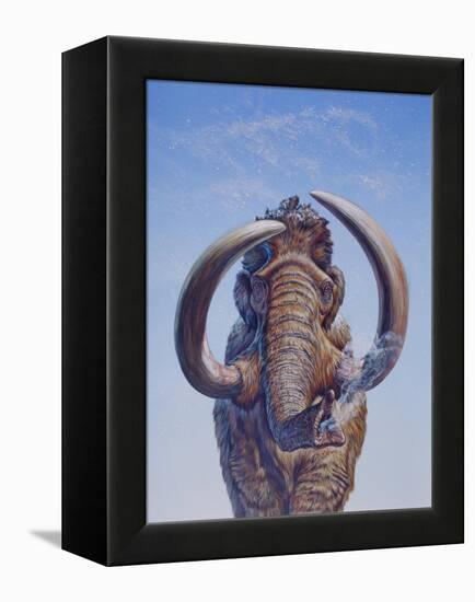 Woolly Mammoth Charging, Pleistocene Epoch-null-Framed Stretched Canvas