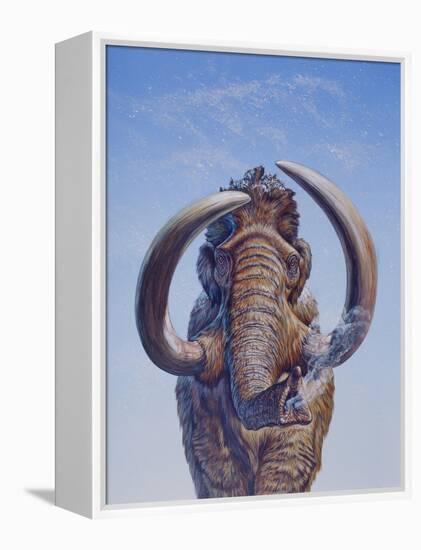 Woolly Mammoth Charging, Pleistocene Epoch-null-Framed Stretched Canvas