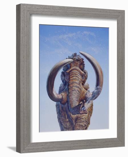 Woolly Mammoth Charging, Pleistocene Epoch-null-Framed Art Print