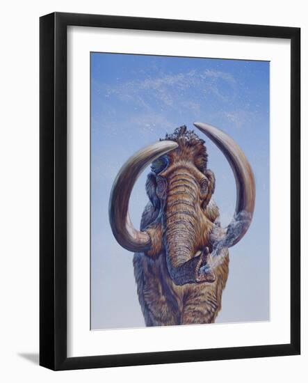 Woolly Mammoth Charging, Pleistocene Epoch-null-Framed Art Print