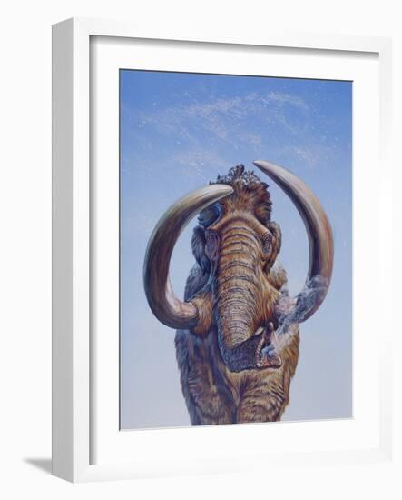 Woolly Mammoth Charging, Pleistocene Epoch-null-Framed Art Print