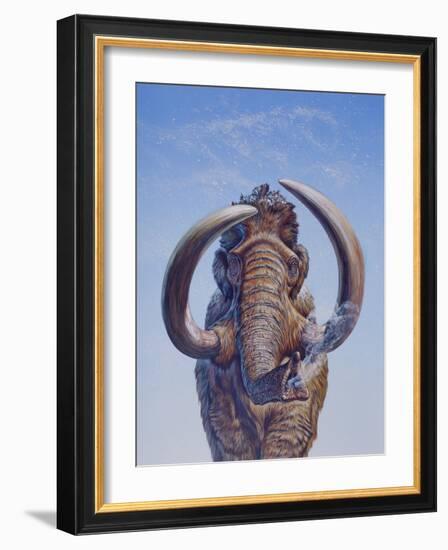 Woolly Mammoth Charging, Pleistocene Epoch-null-Framed Art Print