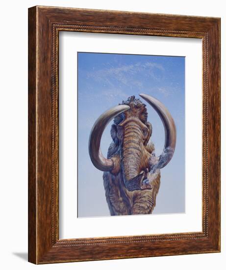 Woolly Mammoth Charging, Pleistocene Epoch-null-Framed Premium Giclee Print