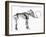 Woolly Mammoth (Mammuthu) Skeleton, 1830-null-Framed Giclee Print