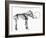 Woolly Mammoth (Mammuthu) Skeleton, 1830-null-Framed Giclee Print