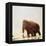 Woolly Mammoth Prehistoric Reconstruction-Arthur Hayward-Framed Premier Image Canvas