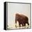 Woolly Mammoth Prehistoric Reconstruction-Arthur Hayward-Framed Premier Image Canvas