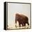 Woolly Mammoth Prehistoric Reconstruction-Arthur Hayward-Framed Premier Image Canvas