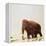 Woolly Mammoth Prehistoric Reconstruction-Arthur Hayward-Framed Premier Image Canvas