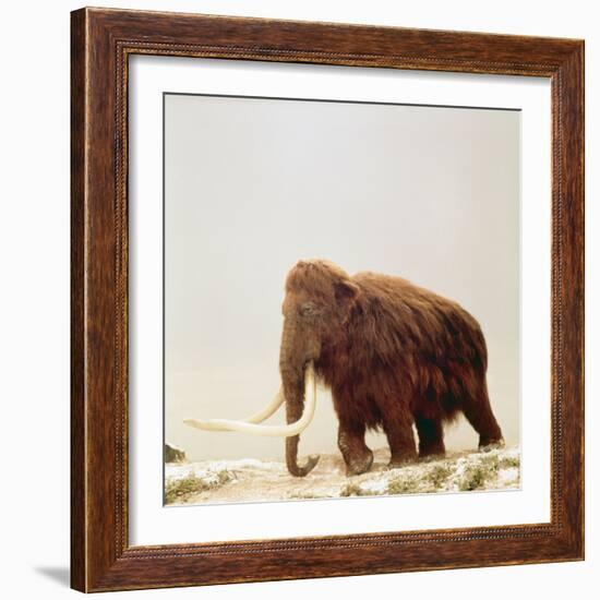 Woolly Mammoth Prehistoric Reconstruction-Arthur Hayward-Framed Photographic Print