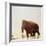 Woolly Mammoth Prehistoric Reconstruction-Arthur Hayward-Framed Photographic Print