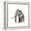 Woolly Mammoth, White Background-null-Framed Stretched Canvas