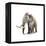 Woolly Mammoth, White Background-null-Framed Stretched Canvas