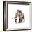 Woolly Mammoth, White Background-null-Framed Premium Giclee Print