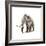 Woolly Mammoth, White Background-null-Framed Premium Giclee Print